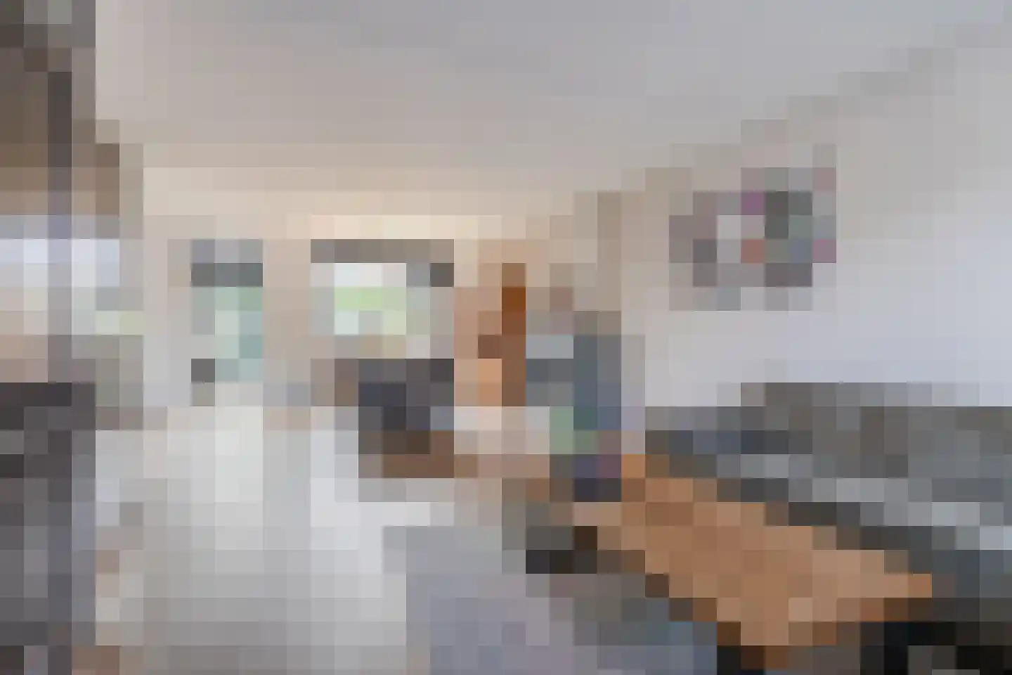 Kardinaalsmuts 110 Cuijk thumbnail 8