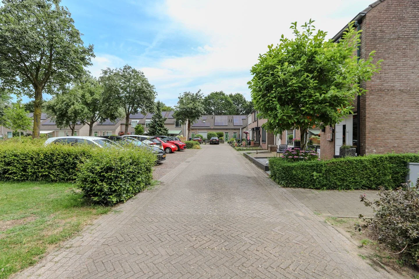Kardinaalsmuts 150 Cuijk thumbnail 39