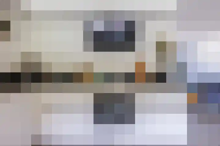 Kardinaalsmuts 16 Cuijk thumbnail 10