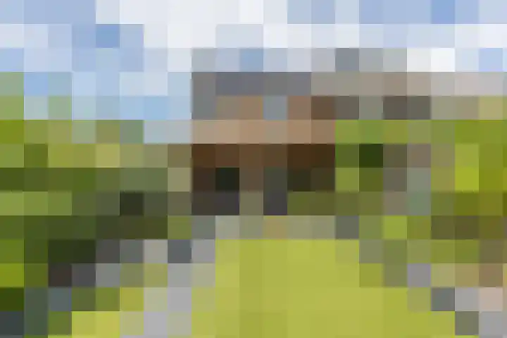 Kardinaalsmuts 16 Cuijk thumbnail 12