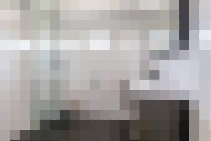 Kardinaalsmuts 16 Cuijk thumbnail 17