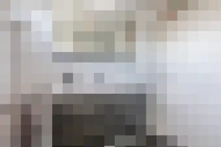 Kardinaalsmuts 16 Cuijk thumbnail 18