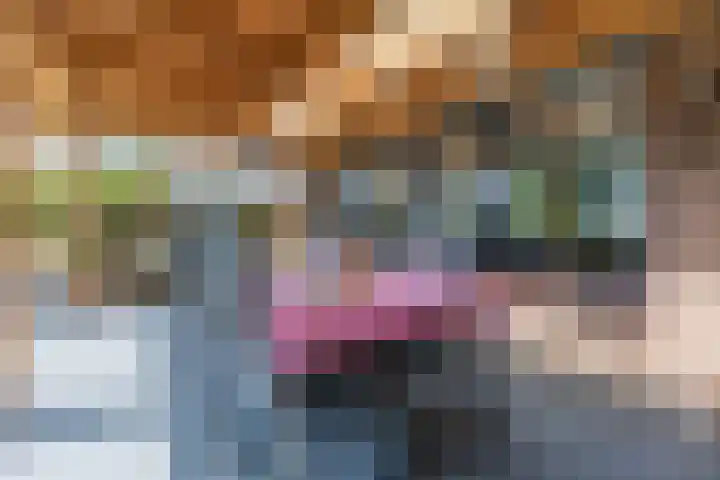 Kardinaalsmuts 16 Cuijk thumbnail 20