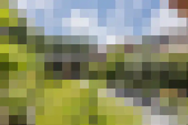 Kardinaalsmuts 16 Cuijk thumbnail 21