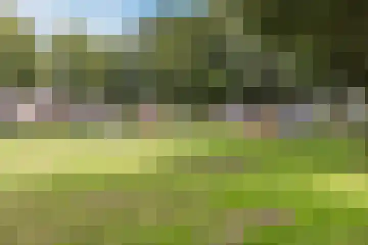 Kardinaalsmuts 16 Cuijk thumbnail 27