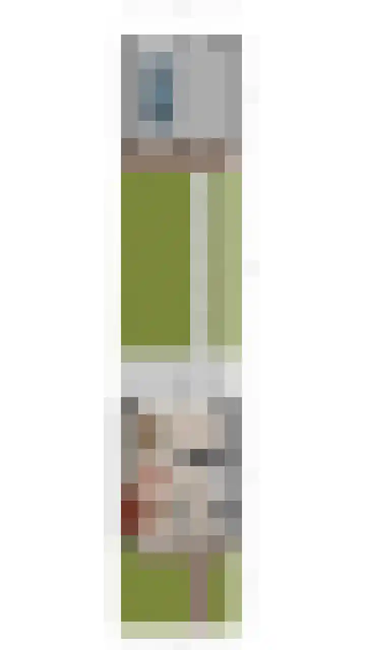 Kardinaalsmuts 16 Cuijk thumbnail 30