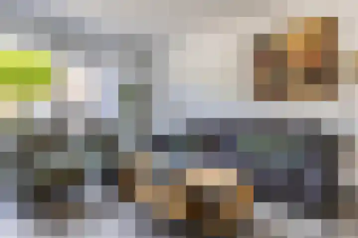 Kardinaalsmuts 16 Cuijk thumbnail 5