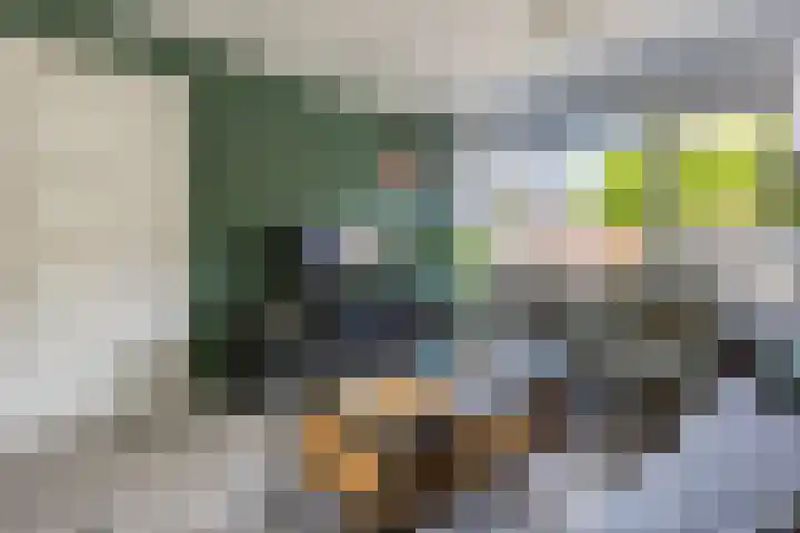 Kardinaalsmuts 16 Cuijk thumbnail 6