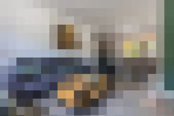 Kardinaalsmuts 16 Cuijk thumbnail 7