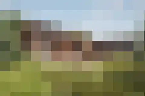 Kardinaalsmuts 20 Leek thumbnail 30