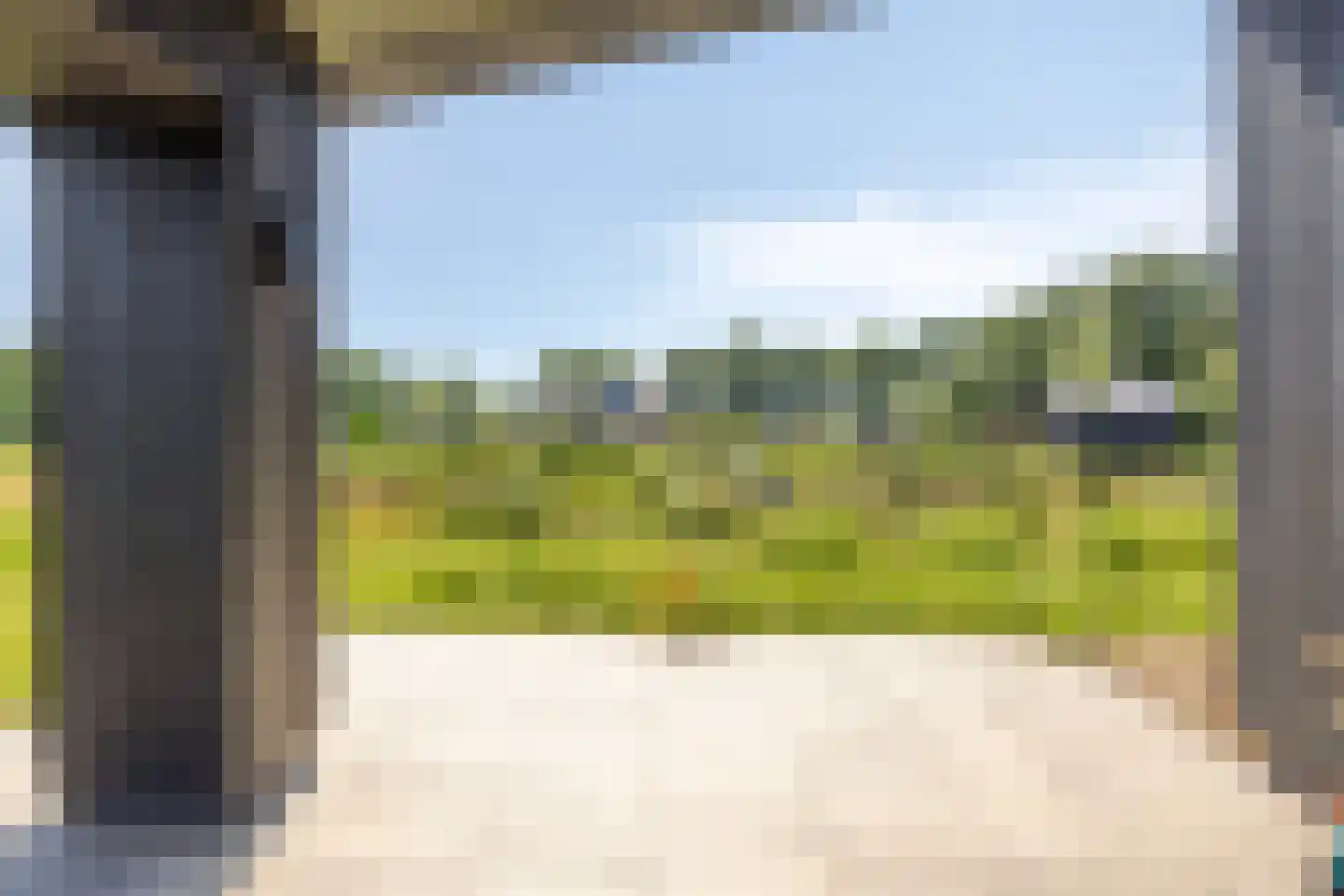 Kardinaalsmuts 20 Leek thumbnail 31