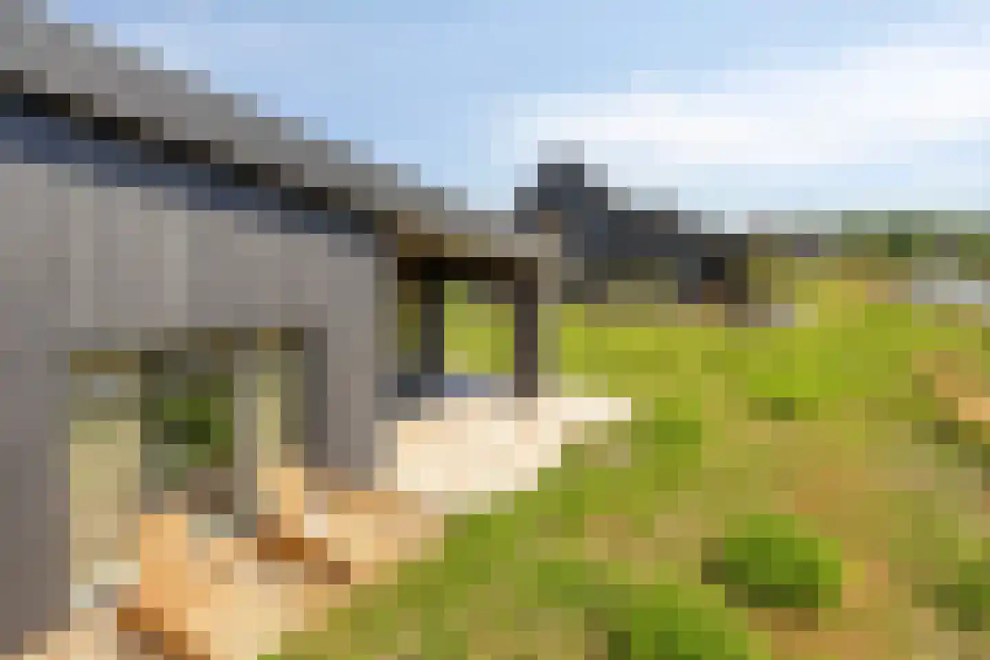 Kardinaalsmuts 20 Leek thumbnail 33