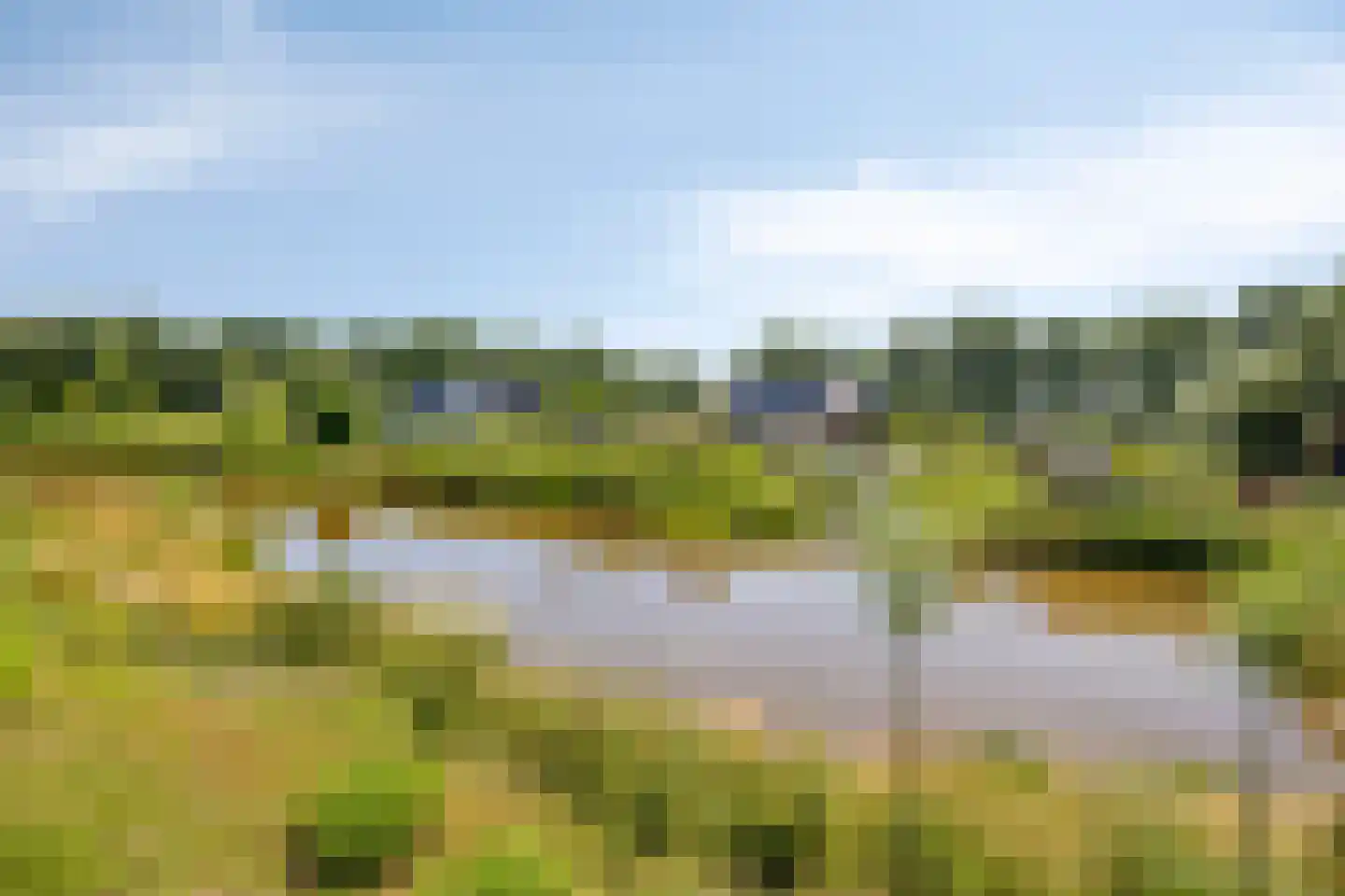 Kardinaalsmuts 20 Leek thumbnail 36