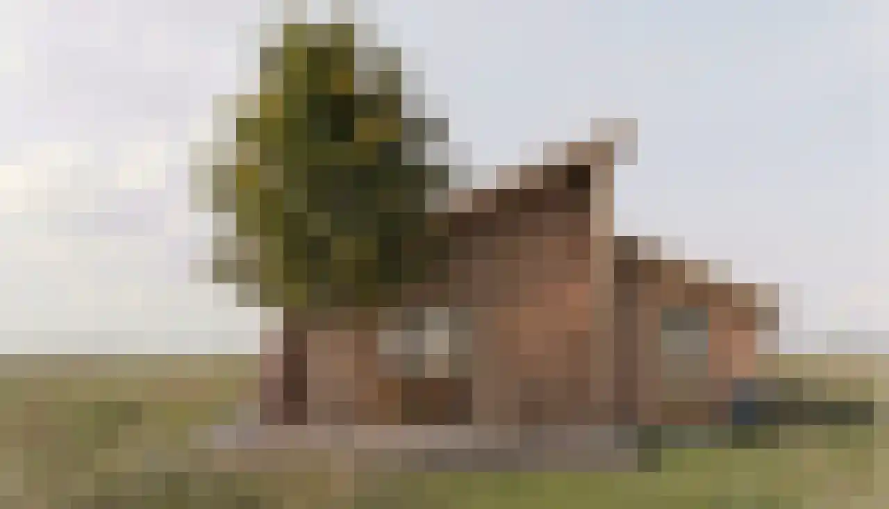 Kardinaalsmuts 20 Leek thumbnail 37