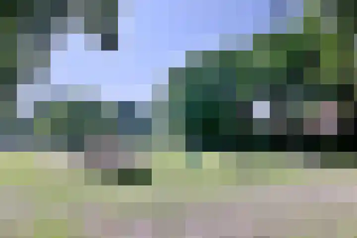 Kardinaalsmuts 43 Deventer thumbnail 35