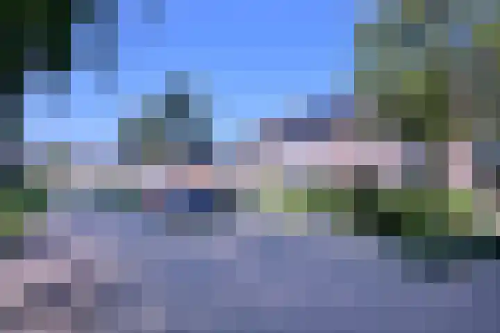 Kardinaalsmuts 43 Deventer thumbnail 37