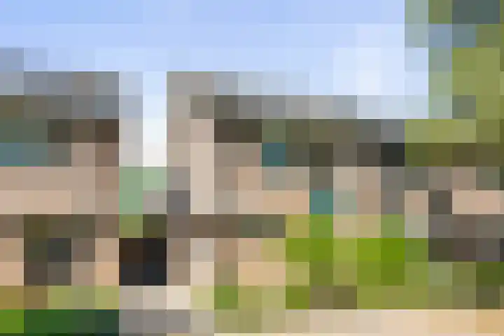 Kardinaalsmuts 47 in Deventer