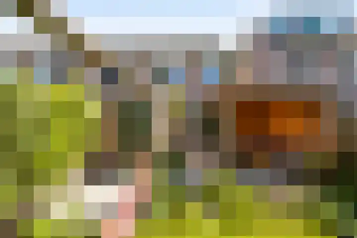 Kardinaalsmuts 47 Deventer thumbnail 21