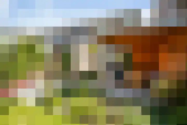 Kardinaalsmuts 47 Deventer thumbnail 22