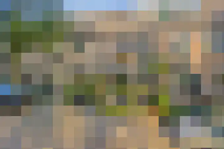 Kardinaalsmuts 55 in Deventer