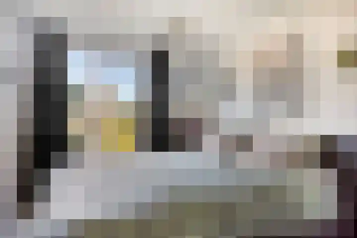 Kardinaalsmuts 55 Deventer thumbnail 13