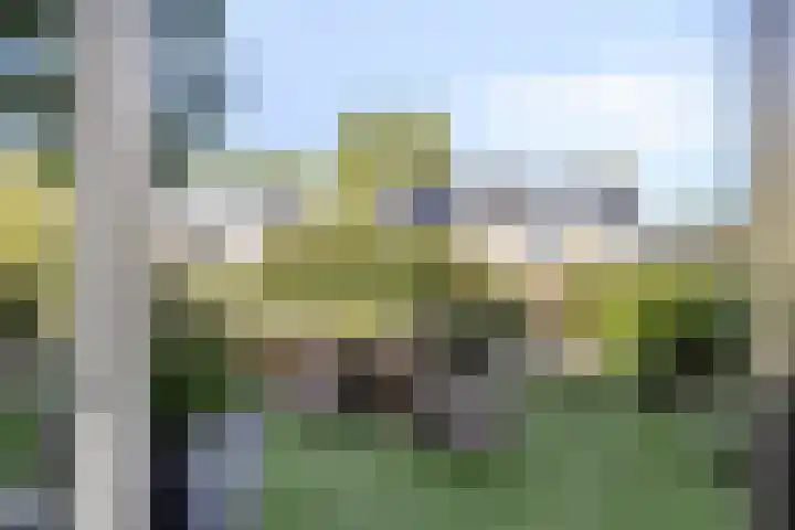 Kardinaalsmuts 55 Deventer thumbnail 17