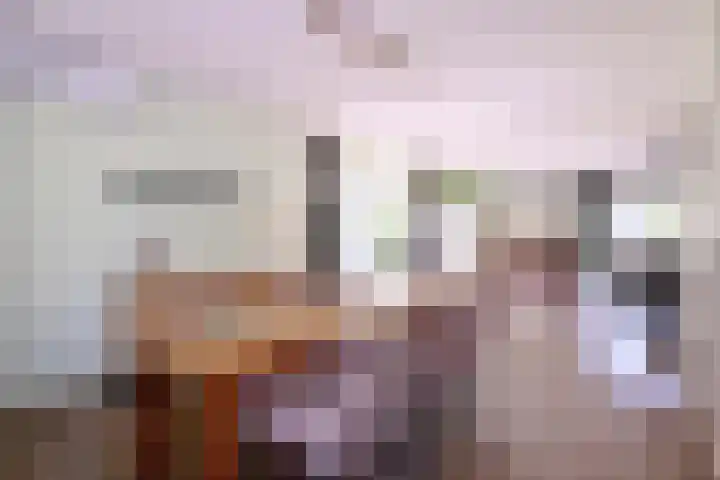 Kardinaalsmuts 59 Deventer thumbnail 12