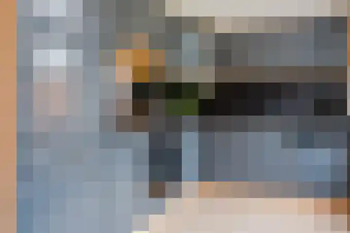 Kardinaalsmuts 75 Cuijk thumbnail 10