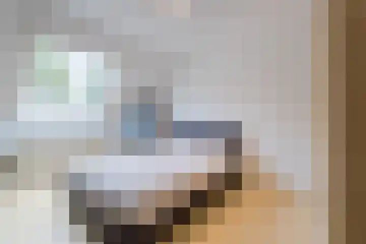 Kardinaalsmuts 75 Cuijk thumbnail 14