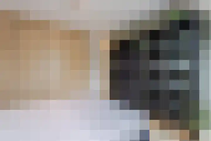 Kardinaalsmuts 75 Cuijk thumbnail 15