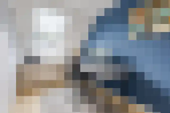 Kardinaalsmuts 75 Cuijk thumbnail 16