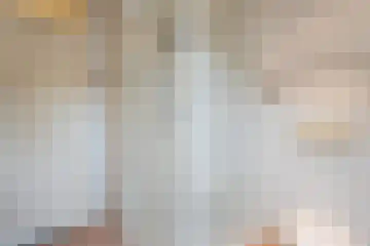 Kardinaalsmuts 75 Cuijk thumbnail 18