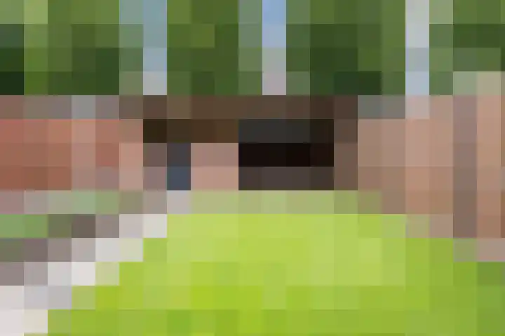 Kardinaalsmuts 75 Cuijk thumbnail 22