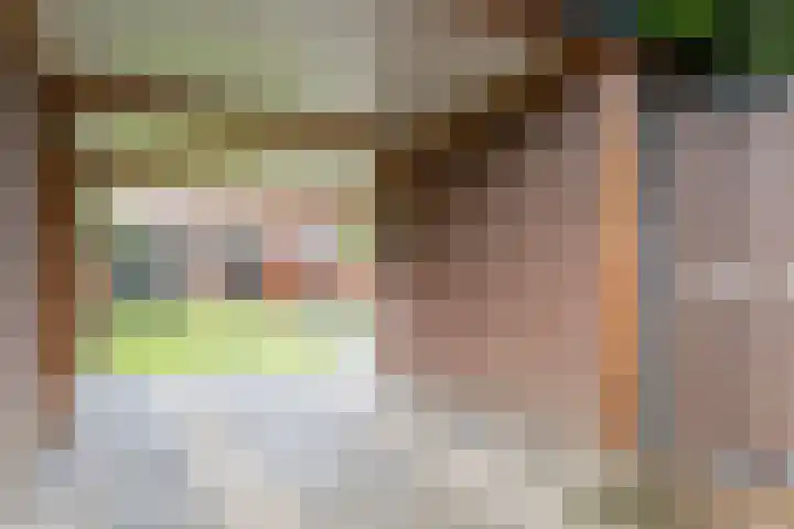 Kardinaalsmuts 75 Cuijk thumbnail 24