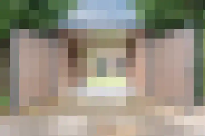 Kardinaalsmuts 75 Cuijk thumbnail 25