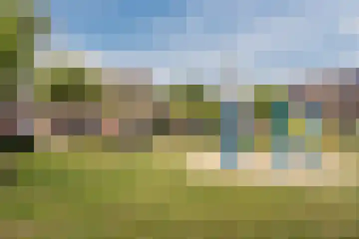 Kardinaalsmuts 75 Cuijk thumbnail 26