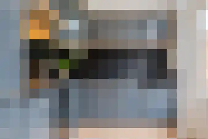 Kardinaalsmuts 75 Cuijk thumbnail 4