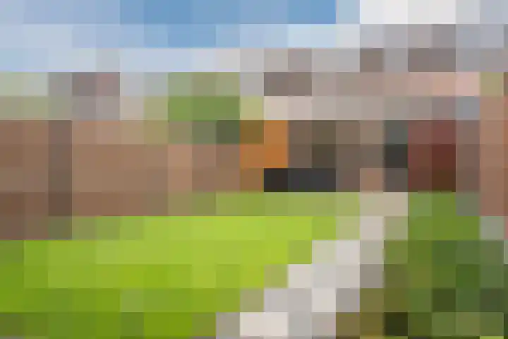 Kardinaalsmuts 75 Cuijk thumbnail 5