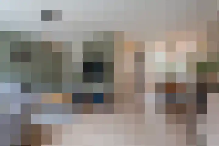 Kardinaalsmuts 75 Cuijk thumbnail 6