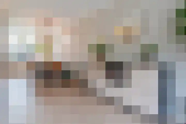 Kardinaalsmuts 75 Cuijk thumbnail 7