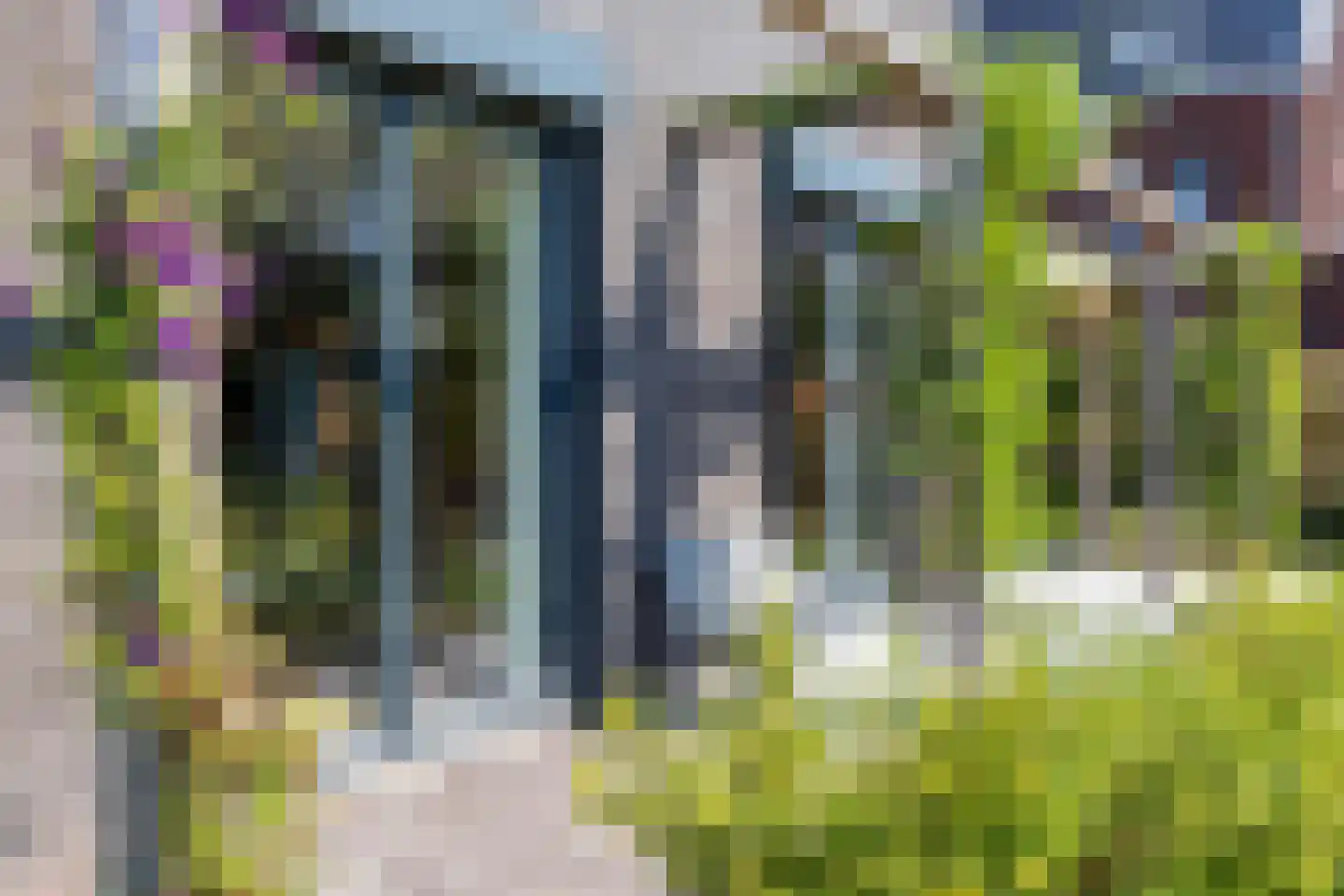 Kardinaalsmuts 8 Leek thumbnail 30