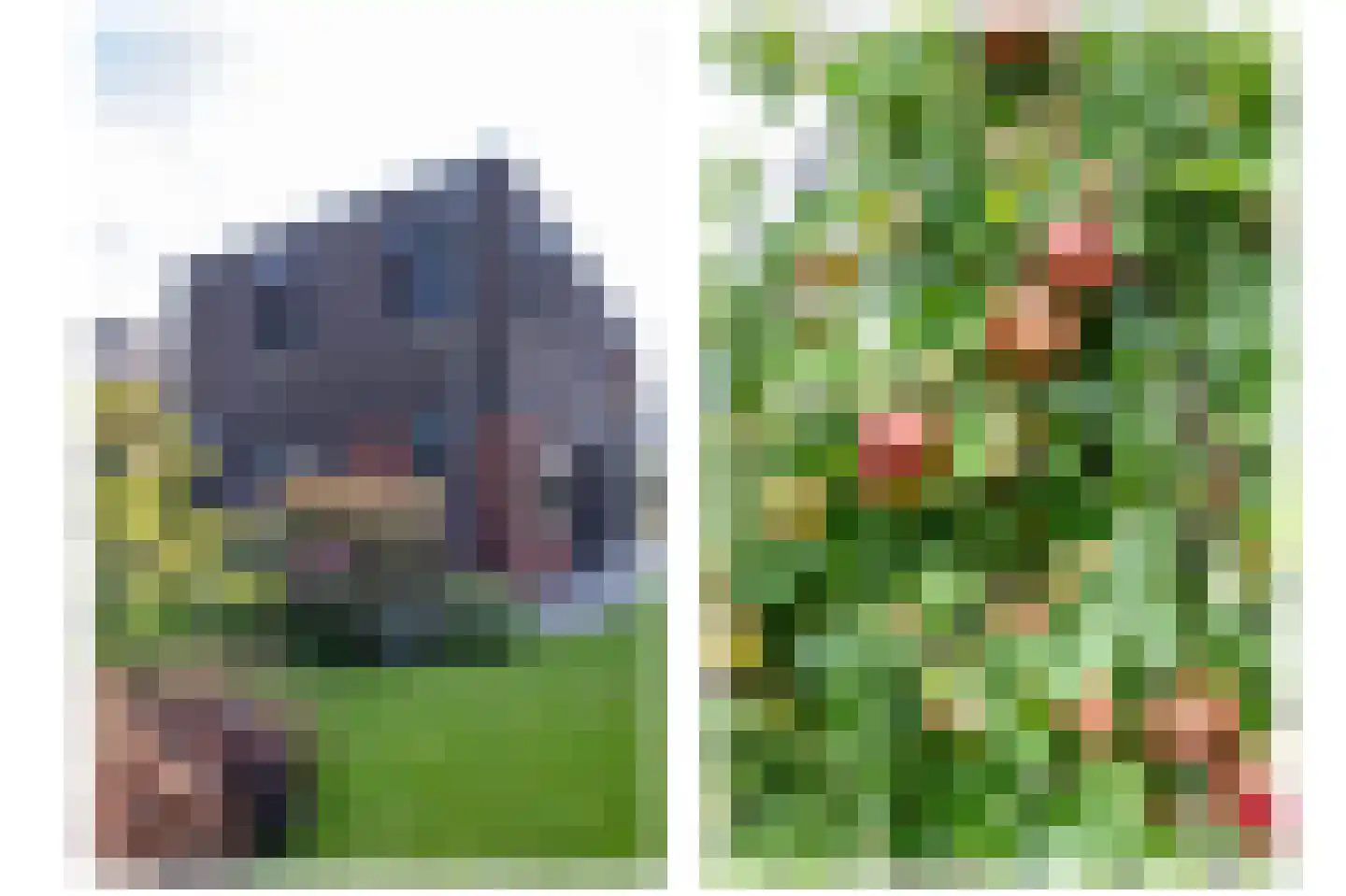 Kardinaalsmuts 8 Leek thumbnail 32