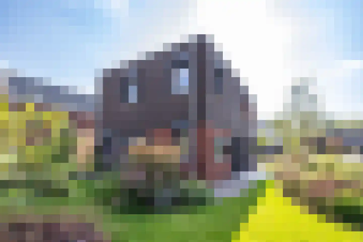 Kardinaalsmuts 8 Leek thumbnail 34