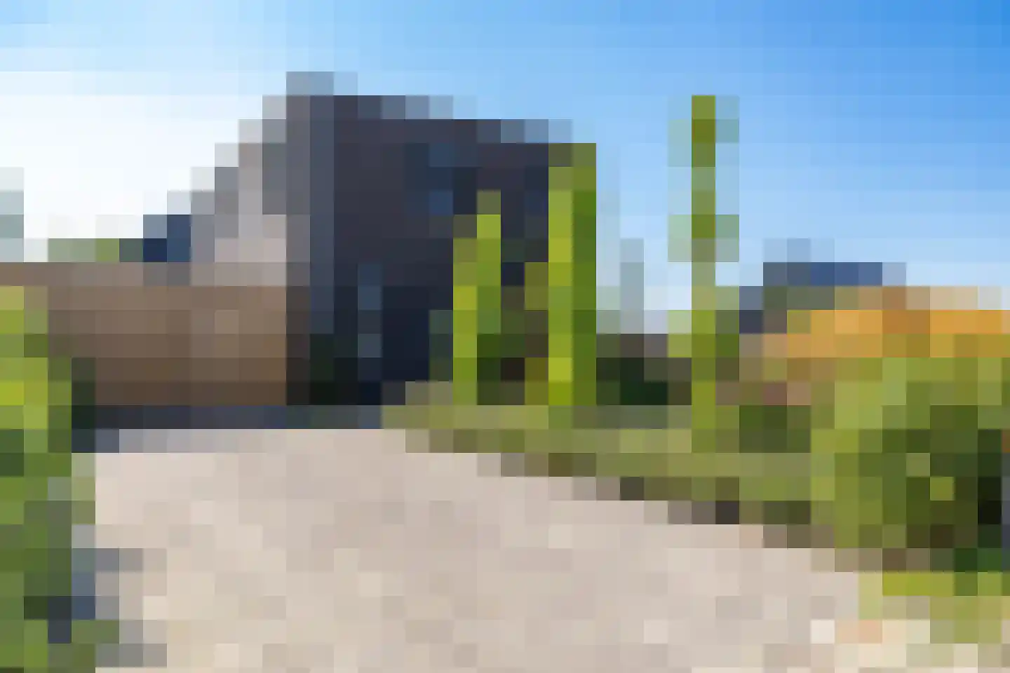 Kardinaalsmuts 8 Leek thumbnail 36