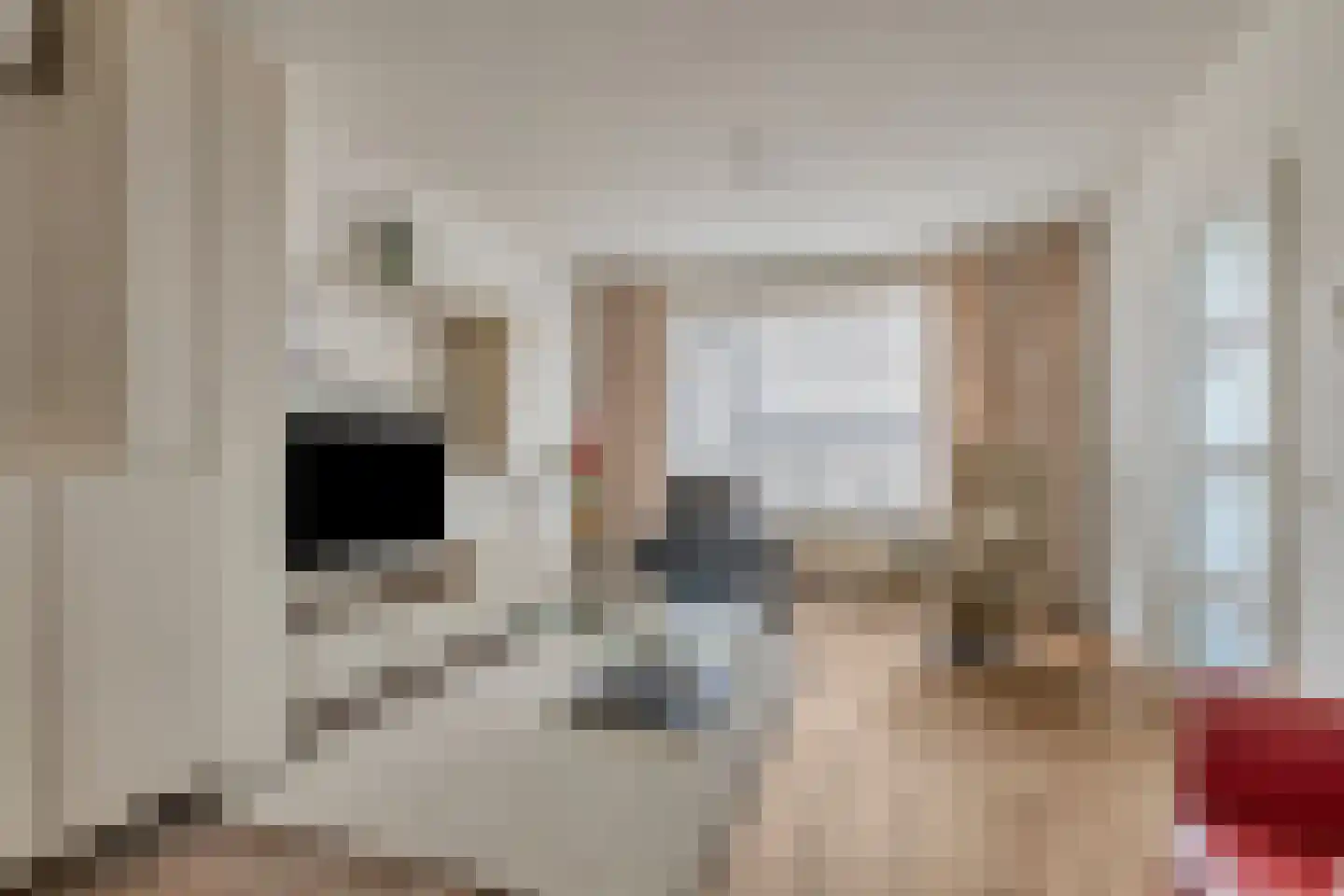 Kardinaalsmuts 92 Cuijk thumbnail 11