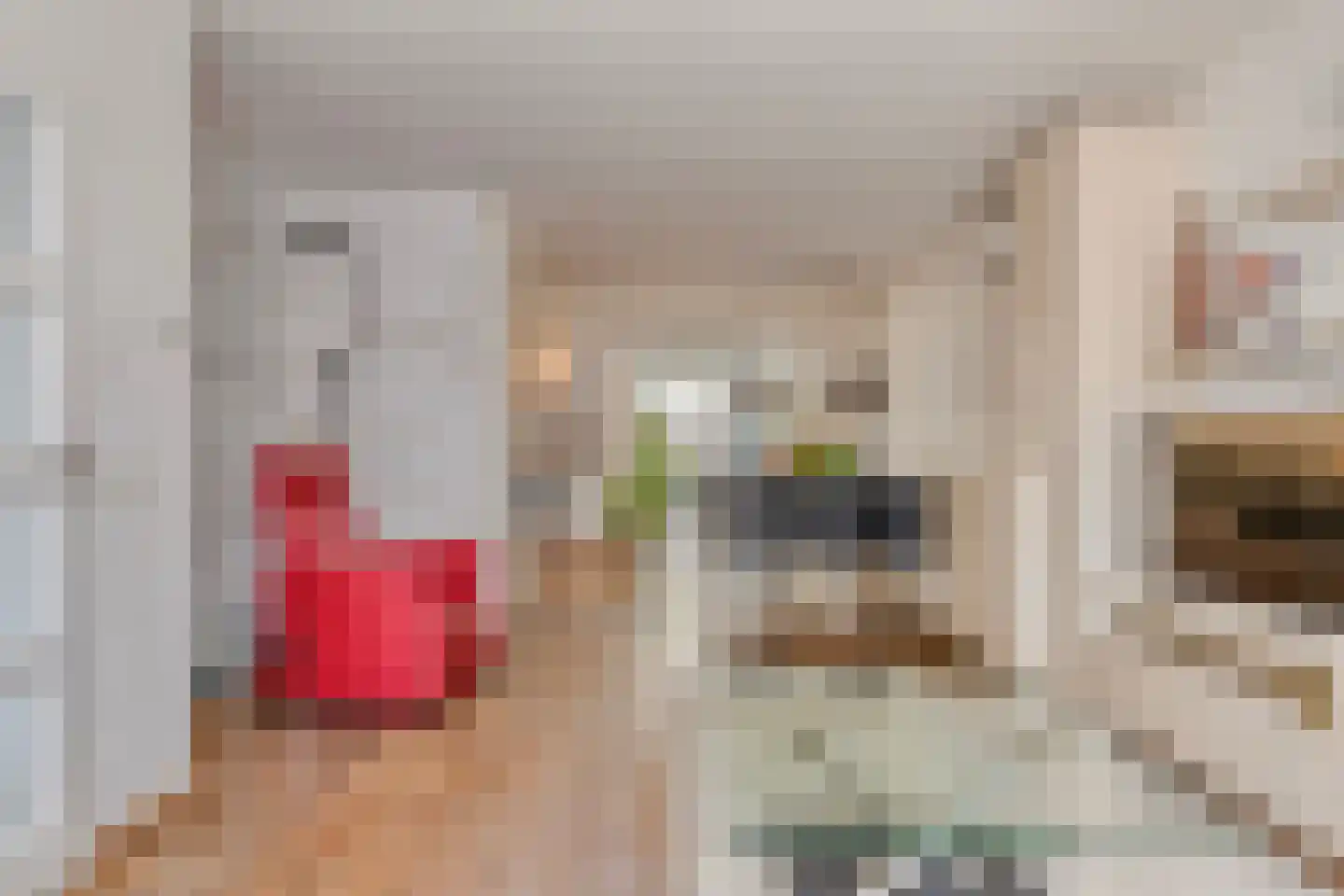 Kardinaalsmuts 92 Cuijk thumbnail 13