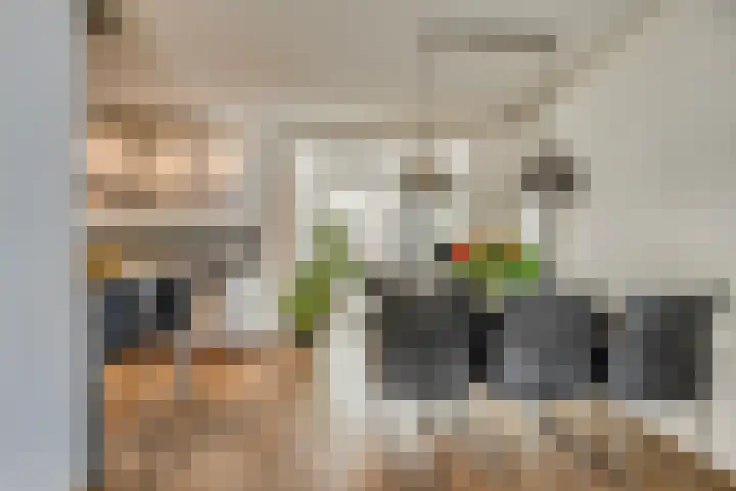 Kardinaalsmuts 92 Cuijk thumbnail 15