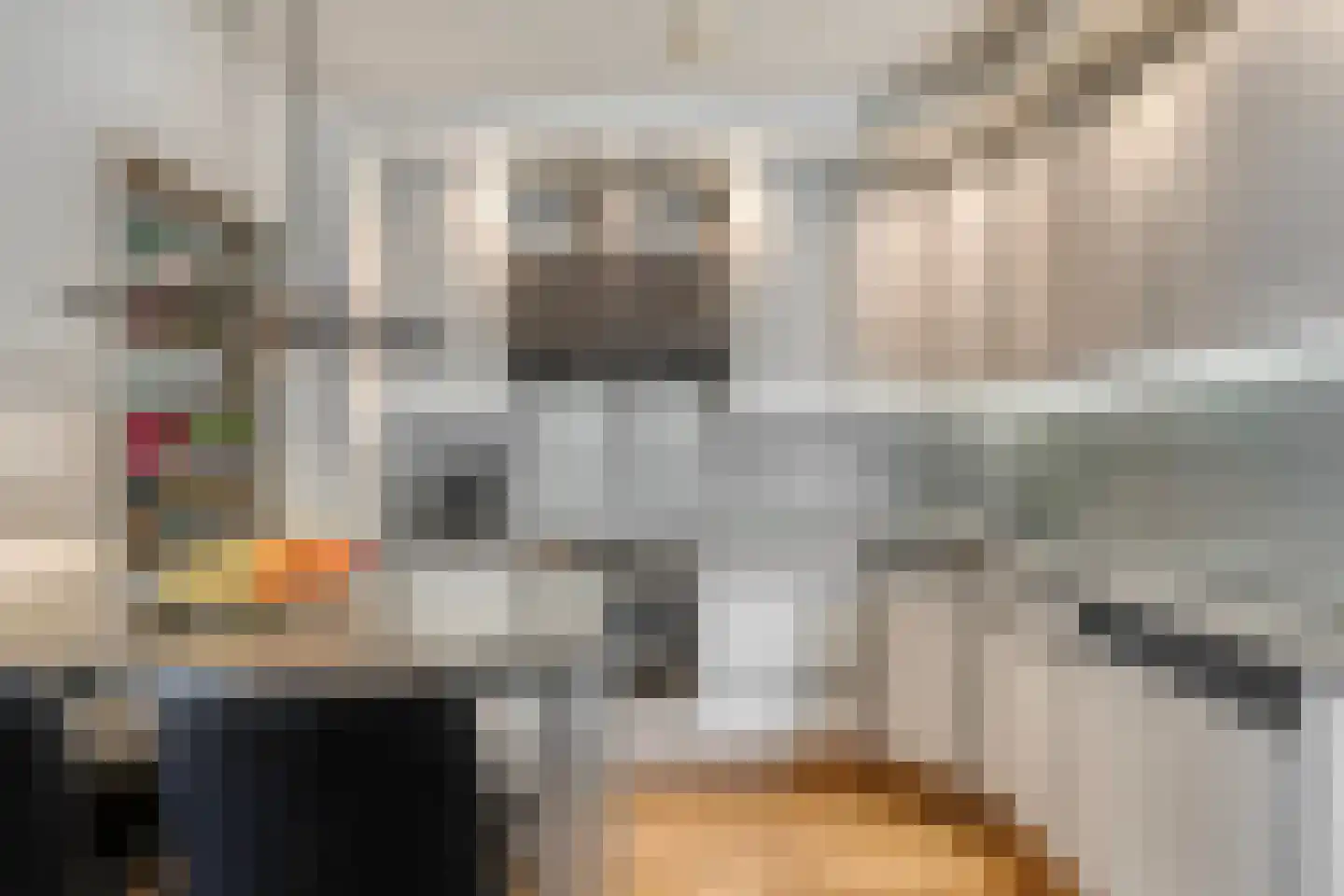 Kardinaalsmuts 92 Cuijk thumbnail 18