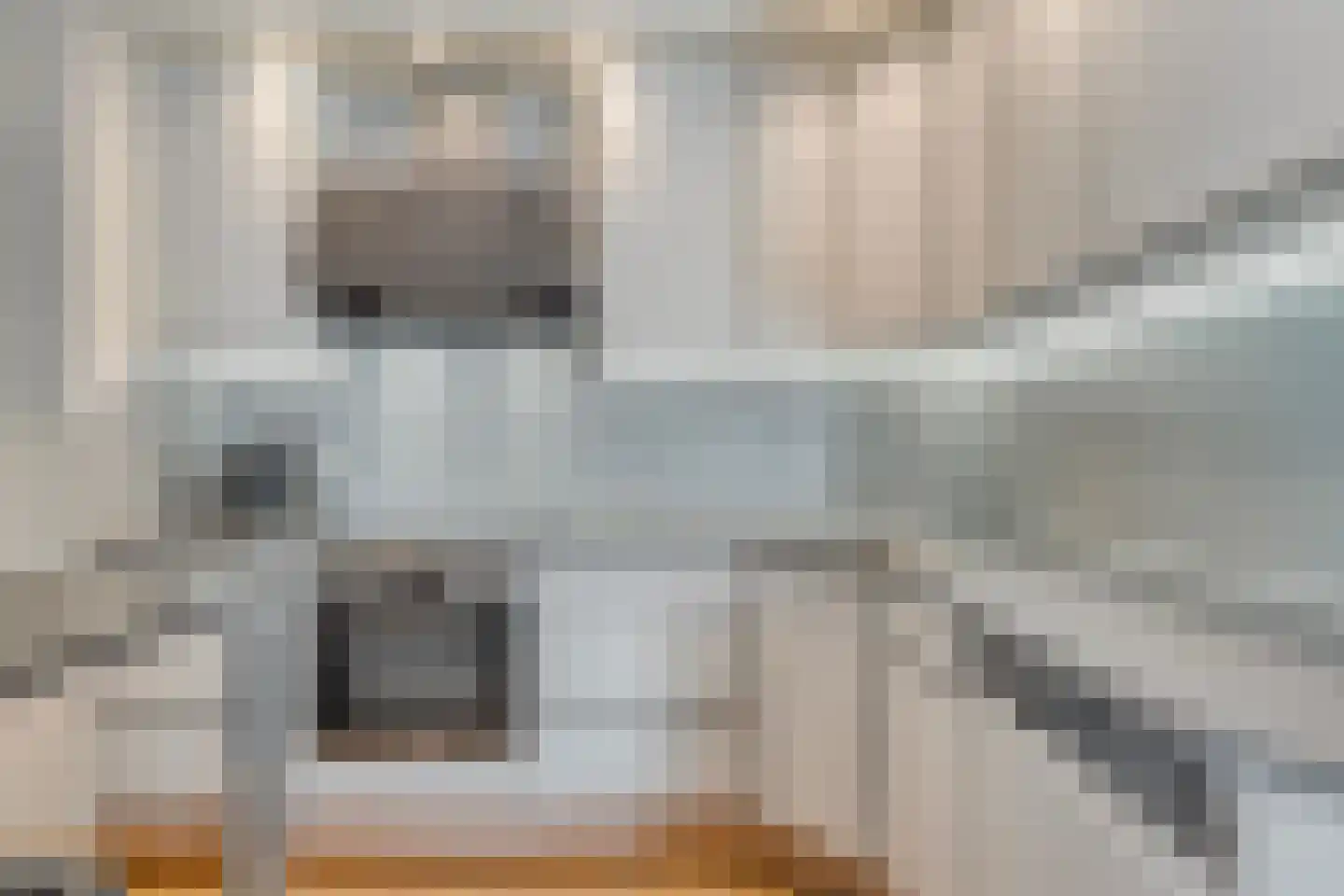 Kardinaalsmuts 92 Cuijk thumbnail 19