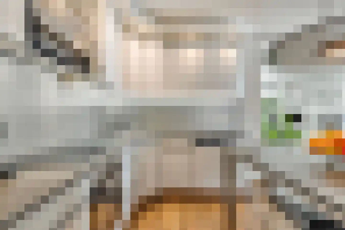 Kardinaalsmuts 92 Cuijk thumbnail 22